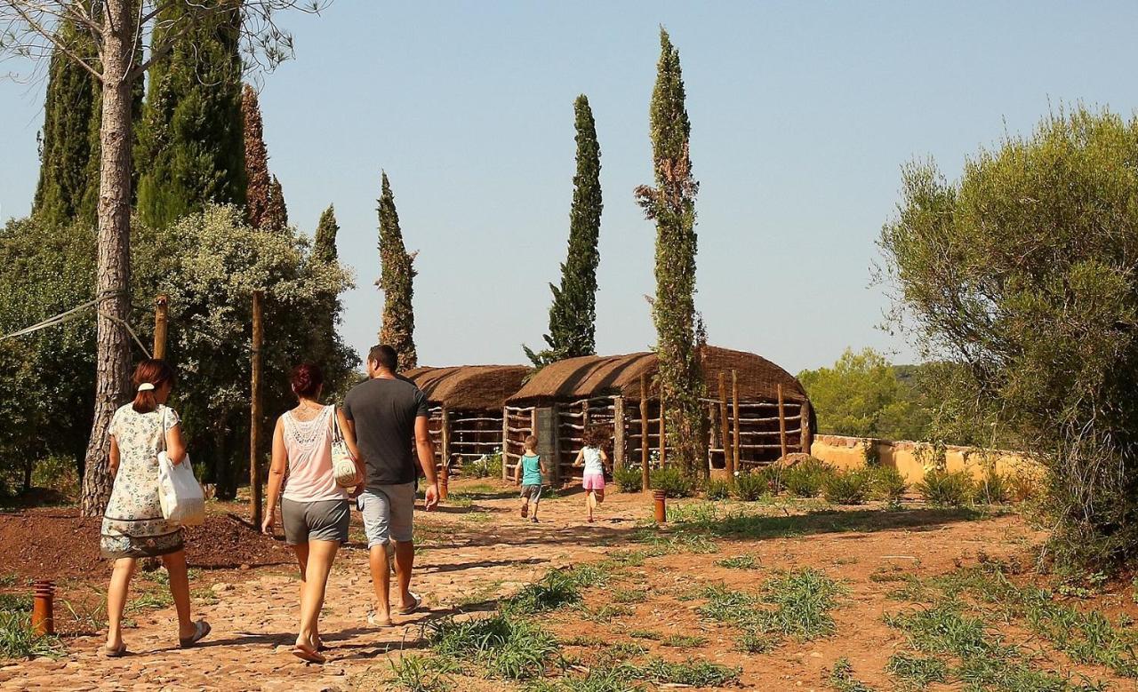 Chateau Saint Roux Le Luc-Le Cannet Des Maures Buitenkant foto